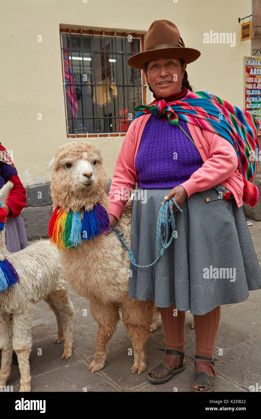 Indigene peruanische Frau in Tracht, und Alpakas, Cusco, Peru, Südamerika Stockfoto