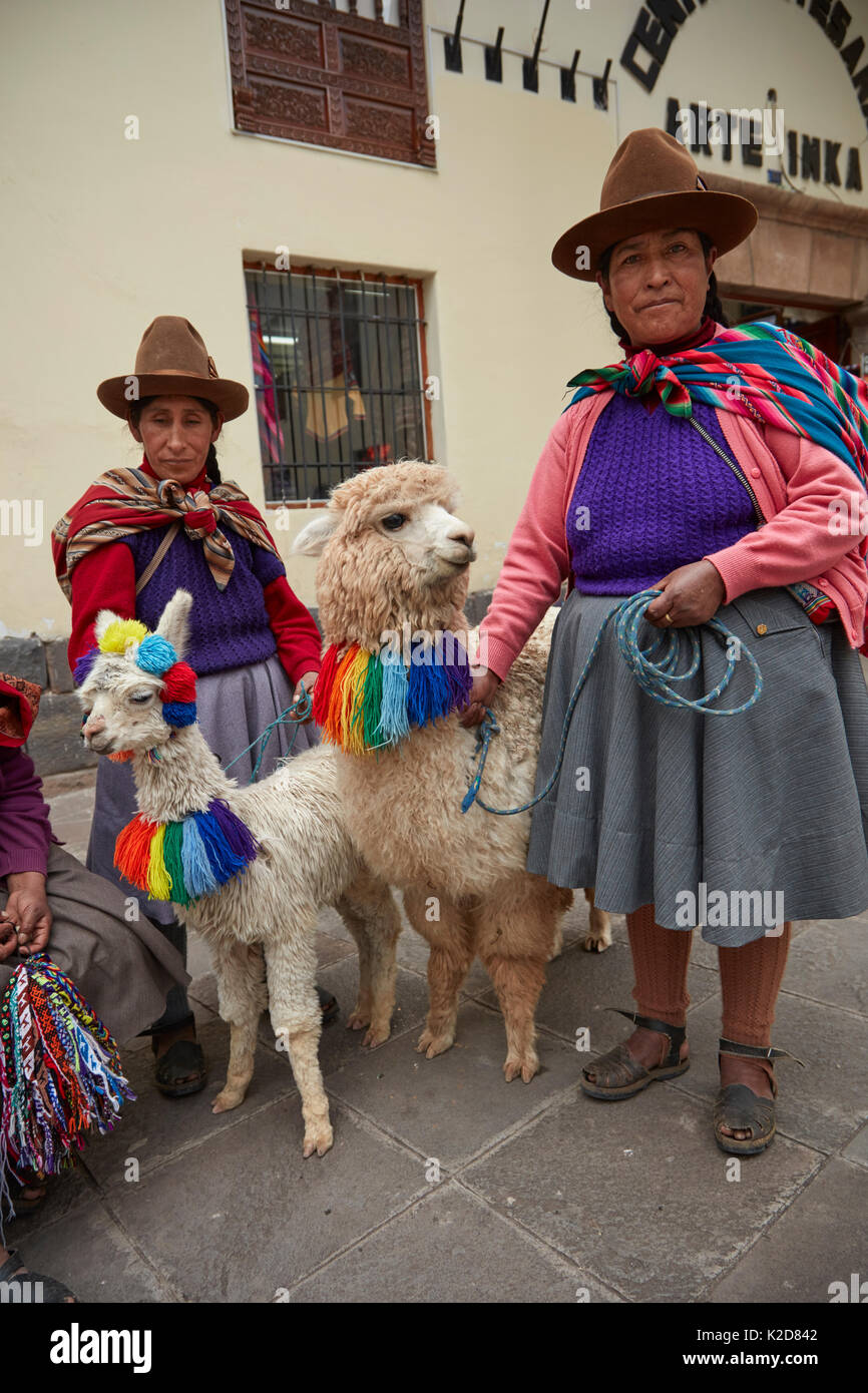 Indigene peruanische Frauen in Tracht, und Alpakas, Cusco, Peru, Südamerika Stockfoto