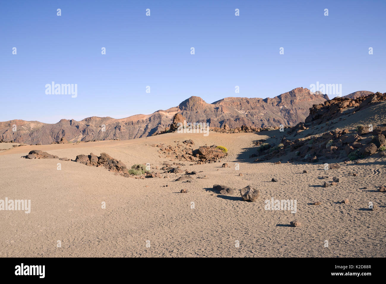 Umfangreiche Feld der Bimsstein von alten Vulkanen umgeben, Las Canadas Caldera, Nationalpark Teide, Teneriffa, Mai 2014. Stockfoto