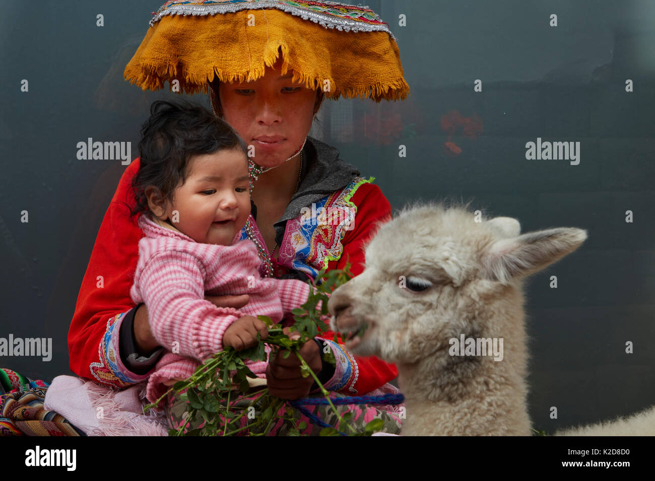 Indigene peruanische Frau in traditioneller Tracht, Baby, und Alpaka, Cusco, Peru, Südamerika Stockfoto