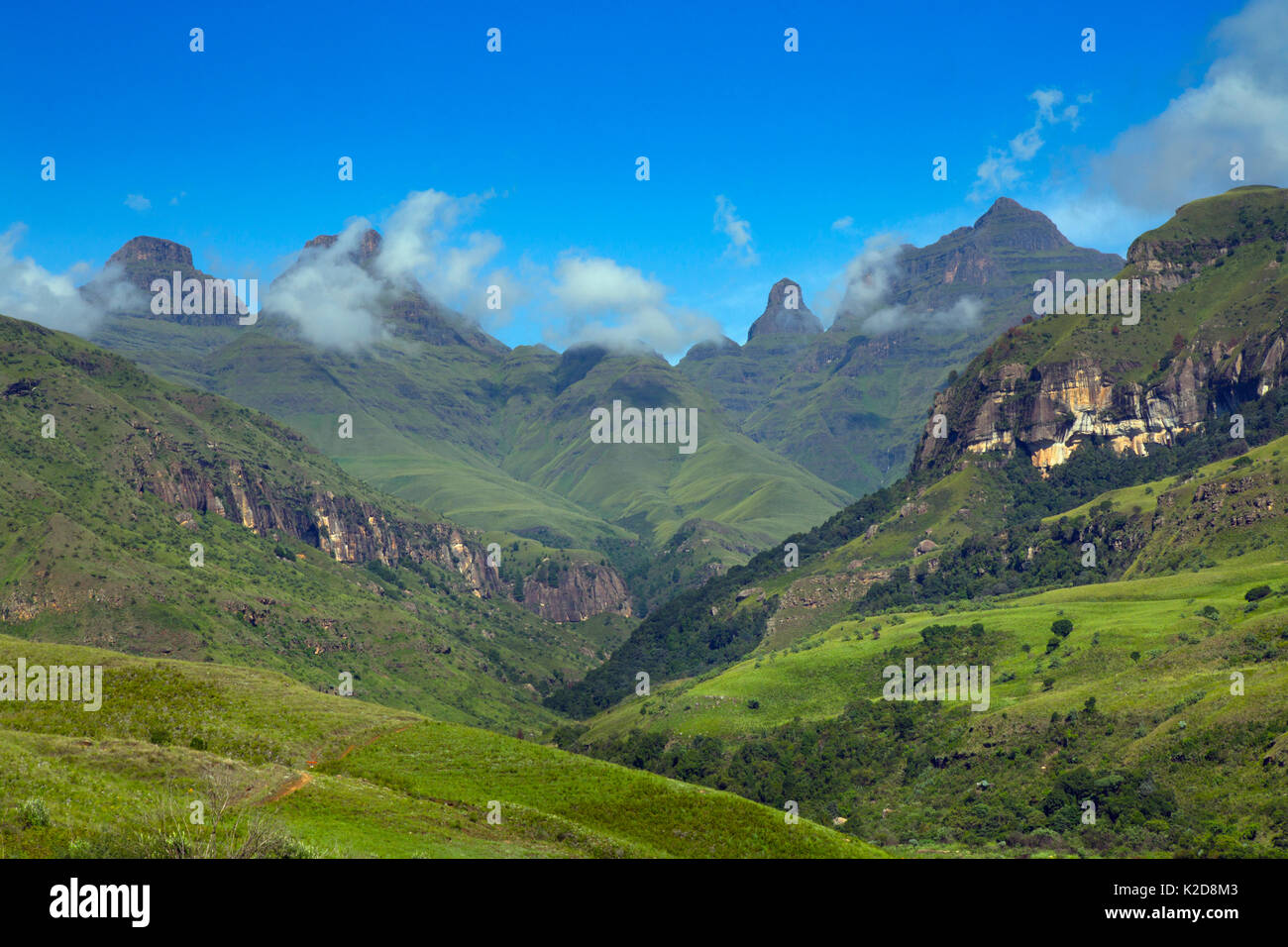 Landschaft von Cathedral Peak, Drakensberg, Kwazulu Natal, Südafrika, Januar. Stockfoto
