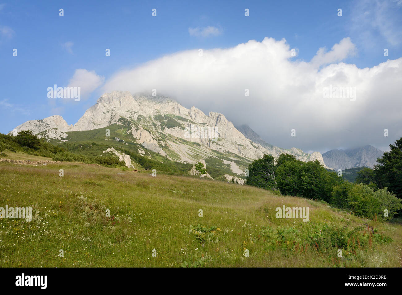 Adiabatische banner Wolken bilden, über den 2386 m Gipfel von Mount Maglic, Bosniens Berg, als warme Luft steigt nach oben, kühlt und wird vom Wind verweht, Nationalpark Sutjeska, Bosnien und Herzegowina, Juli 2014. Stockfoto