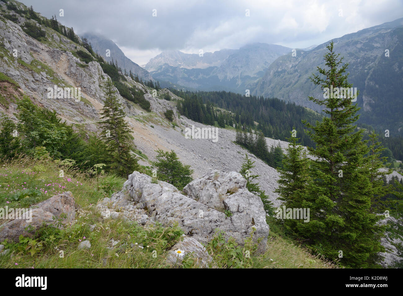 Kalkstein Felsen und Geröll an den Hängen des Mount Maglic, Bosniens höchster Berg, mit Blick auf die Velika Vitao peak in Montenegro über die nahe Grenze, Nationalpark Sutjeska, Bosnien und Herzegowina, Juli 2014. Stockfoto