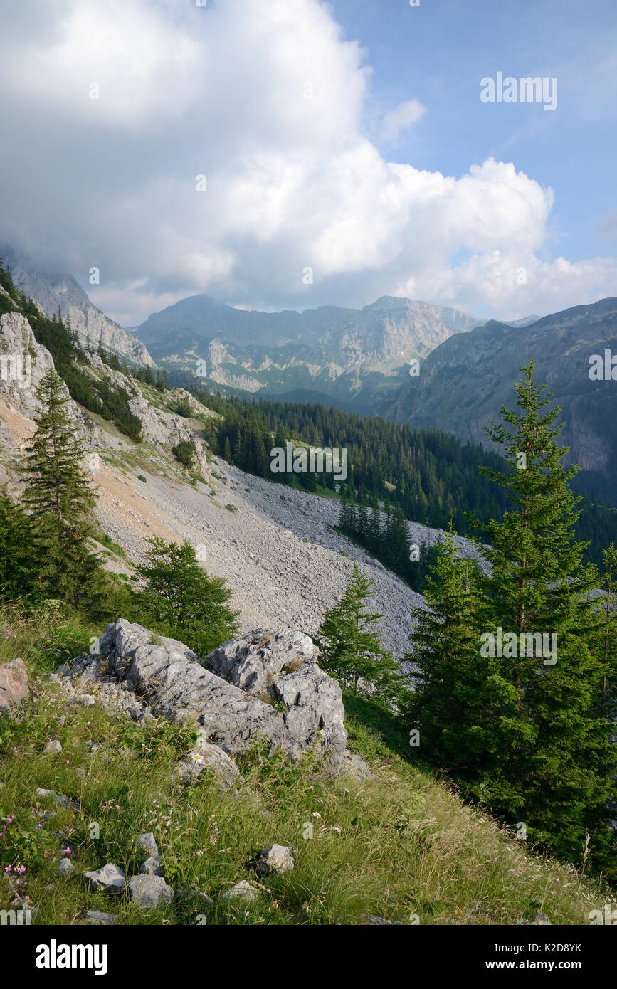 Kalkstein Felsen und Geröll an den Hängen des Mount Maglic, Bosniens höchster Berg, mit Blick auf die Velika Vitao peak in Montenegro über die nahe Grenze, Nationalpark Sutjeska, Bosnien und Herzegowina, Juli 2014. Stockfoto
