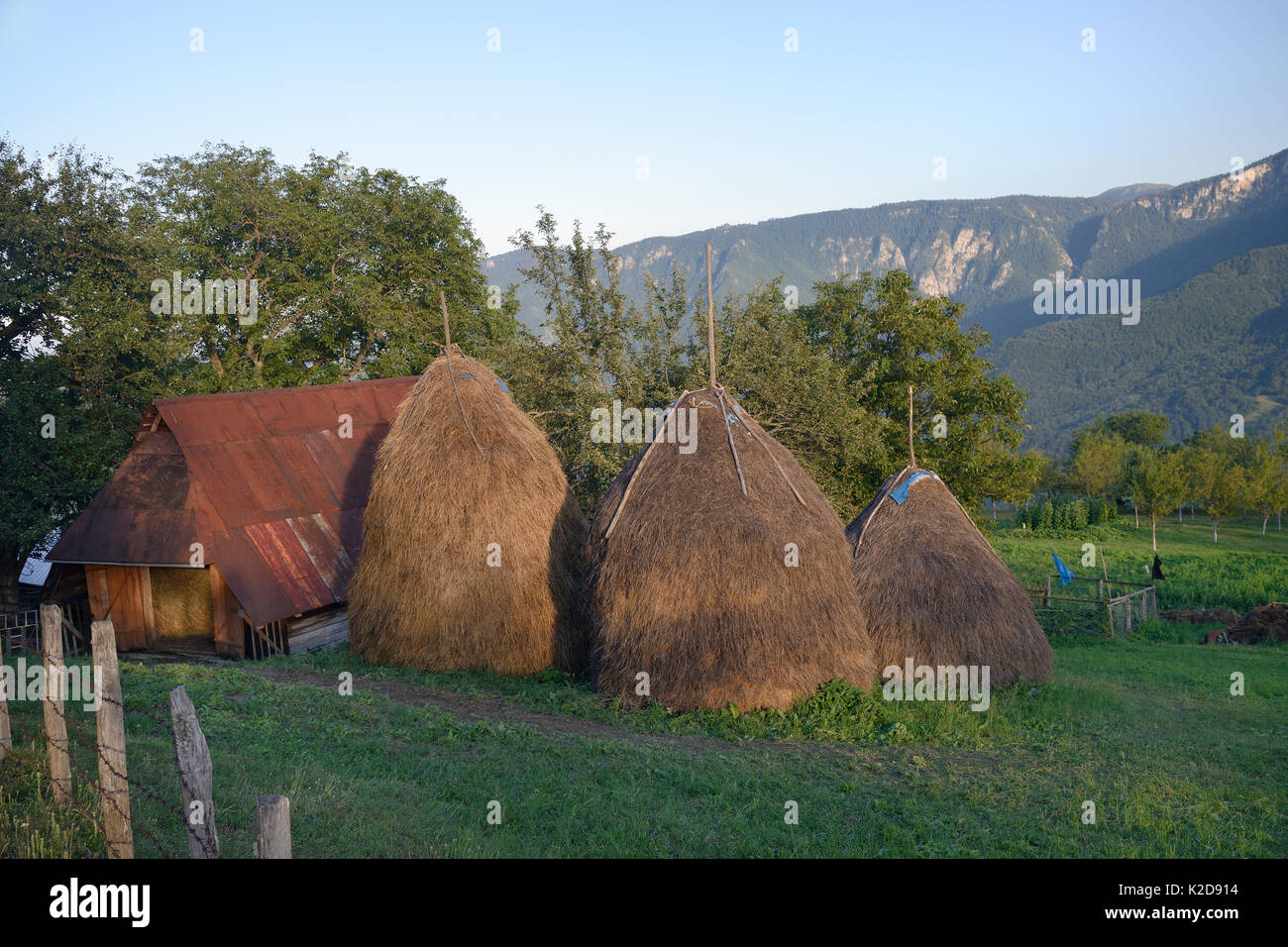 Traditionelle Heuballen und Stall bei Mjesaji Dorf in Sutjeska National Park, in der Nähe von Tjentiste, Bosnien und Herzegowina, Juli 2014. Stockfoto