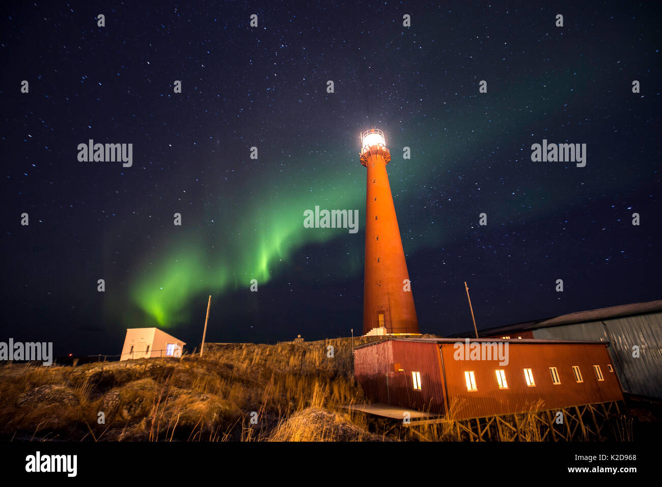 Nordlicht über Andenes Leuchtturm, Andoya Andenes, Island, North Atlantic Ocean, Norwegen Januar 2016 angezeigt Stockfoto