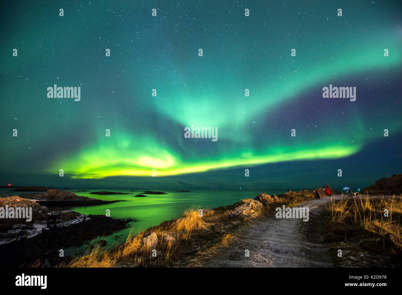 Northern Lights oberhalb der Küste in der Nähe von Andenes Leuchtturm, Andoya Andenes, Island, North Atlantic Ocean, Norwegen, Januar 2016 Stockfoto