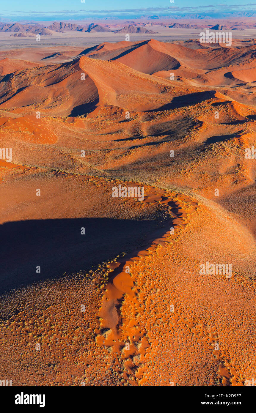 Luftbild des Namib-Naukluft-Nationalpark mit Sand dune Lebensraum, Namibia Stockfoto