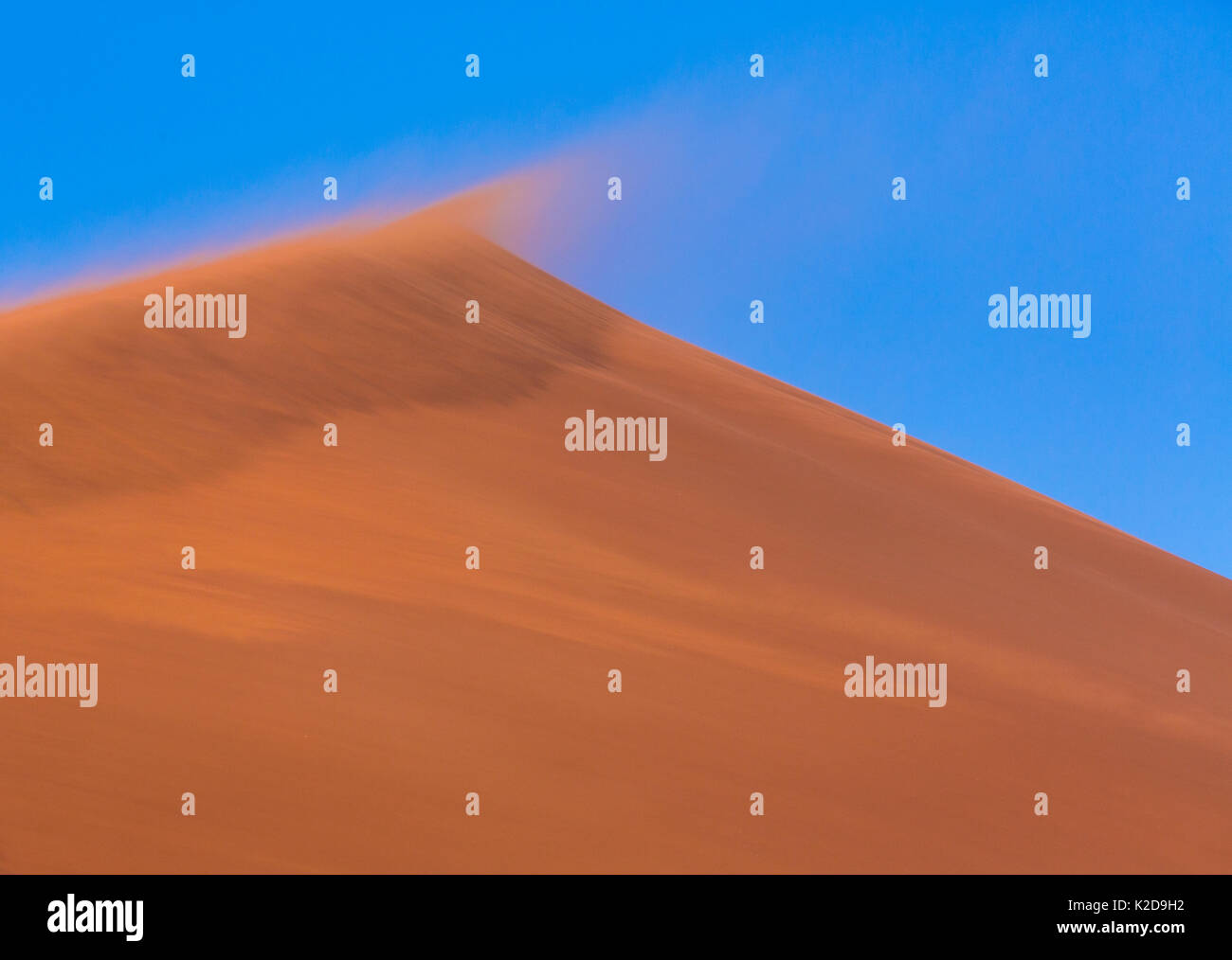 Oben auf der Sanddüne mit Wind, Sand, Namib Naukluft National Park, Namibia Stockfoto