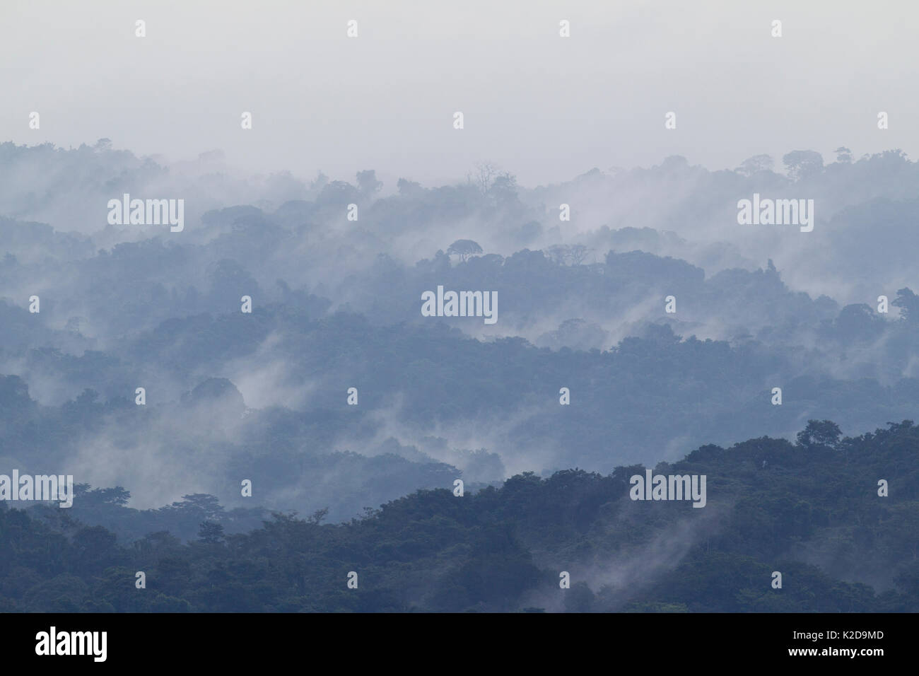 Tropische Landschaft mit Nebel, Barro Colorado Island, Gatun See, Panama Canal, Panama. Stockfoto