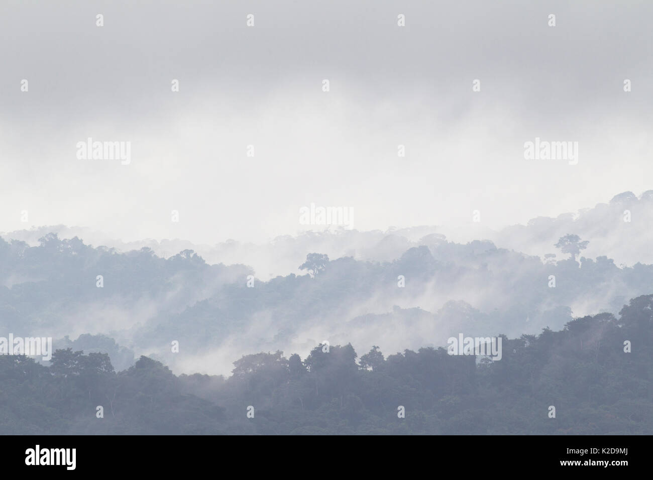 Tropische Landschaft mit Nebel, Barro Colorado Island, Gatun See, Panama Canal, Panama. Stockfoto