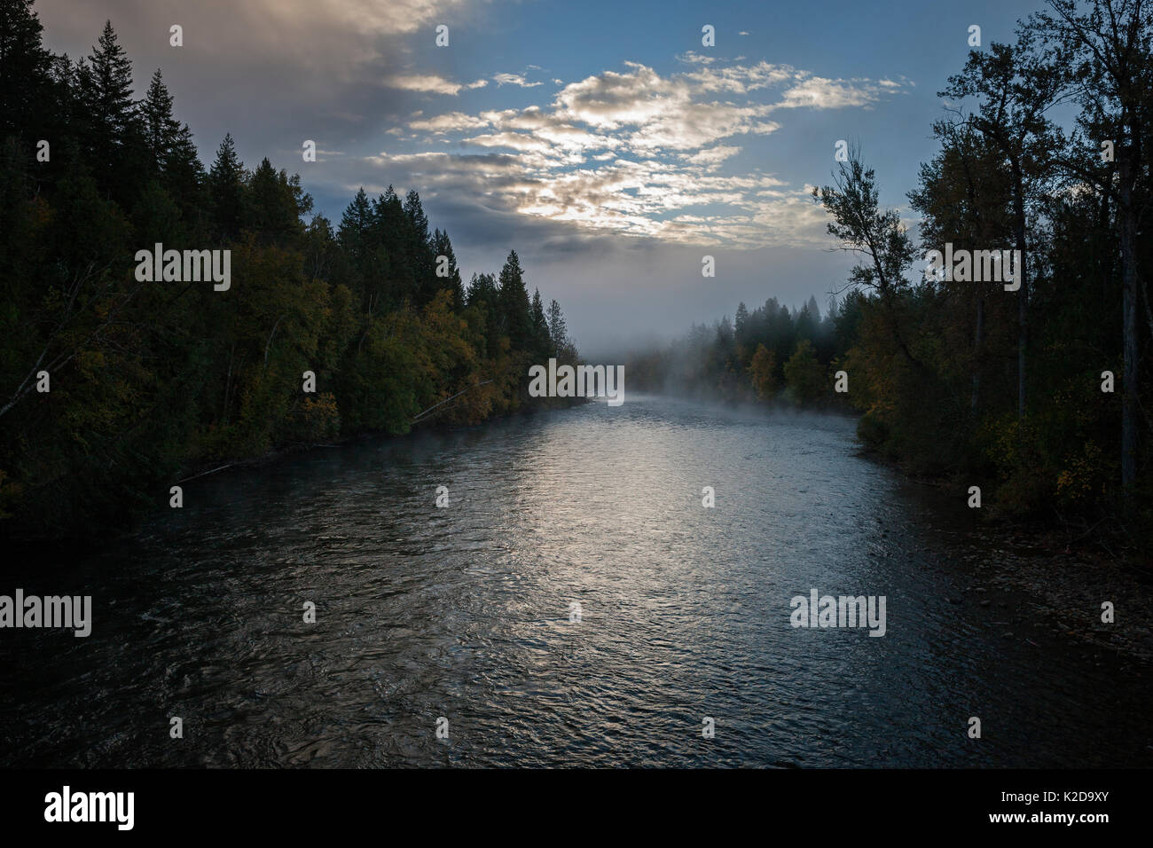 Adams River, Roderick Haig-Brown Provincial Park, British Columbia, Kanada Oktober. Stockfoto