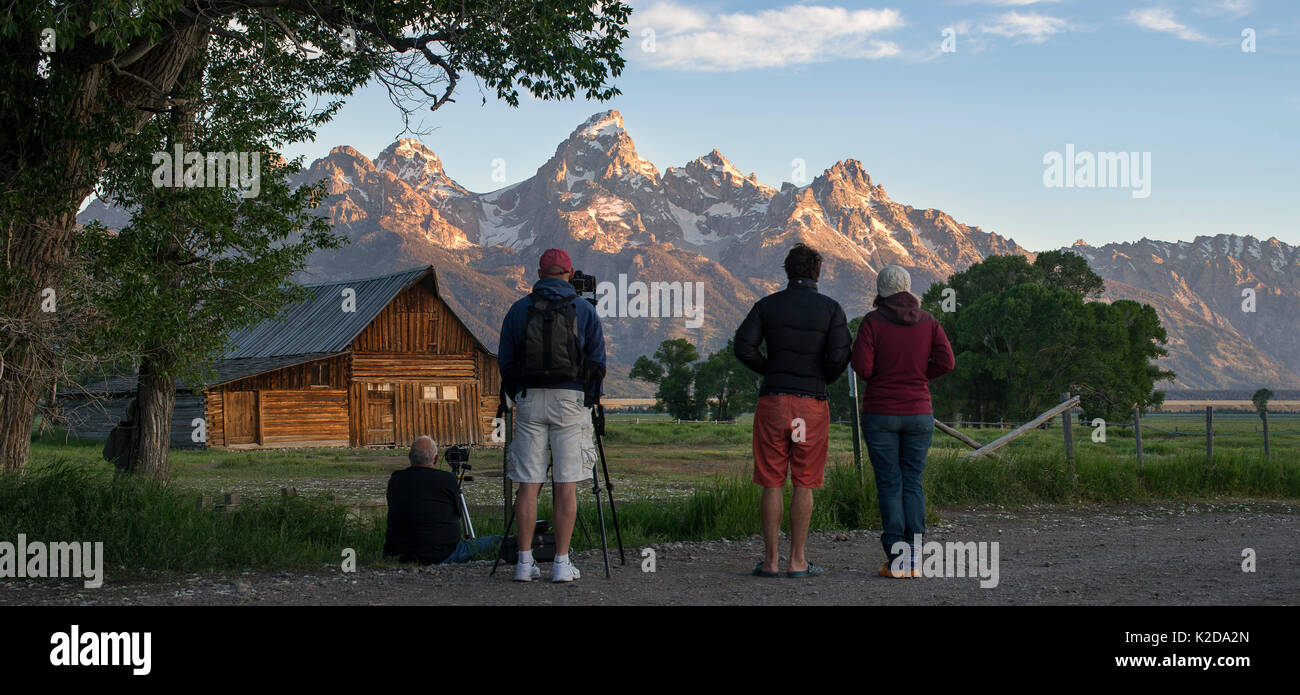 Fotografen an T.A. (Thomas Alma) Molton Scheune bei Sonnenaufgang. Auf Mormon Zeile, Antelope Flats, Grand Teton National Park, in der Nähe von Jackson Hole, Wyoming. USA. Juni 2013. Stockfoto