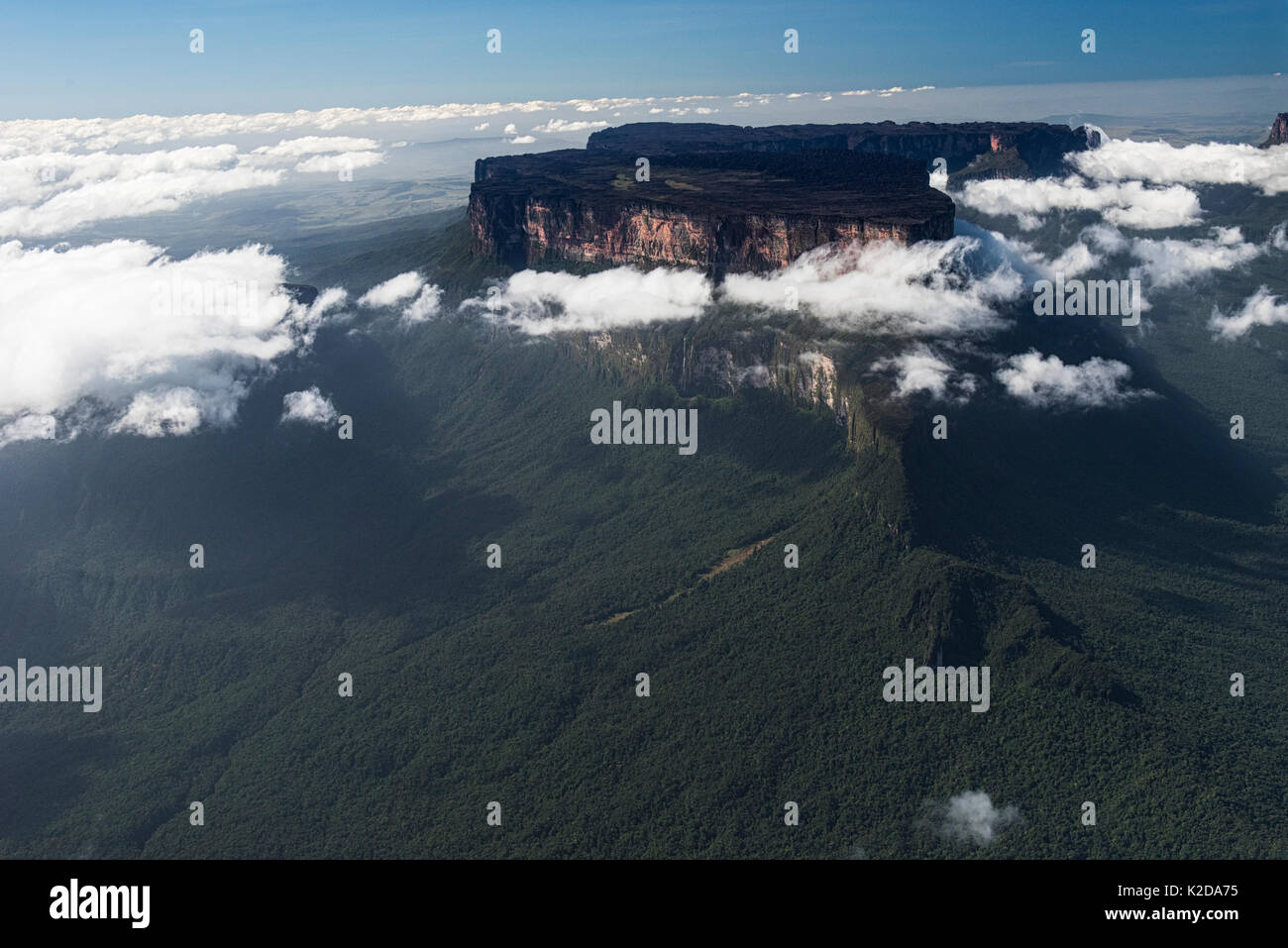 Mount Roraima, der Höchste ist der Pakaraima Kette der Tepuis Hochebenen in Südamerika, in den Bergen, in der Nähe der Pakarajma Phillipai, West Guyana, Südamerika Stockfoto