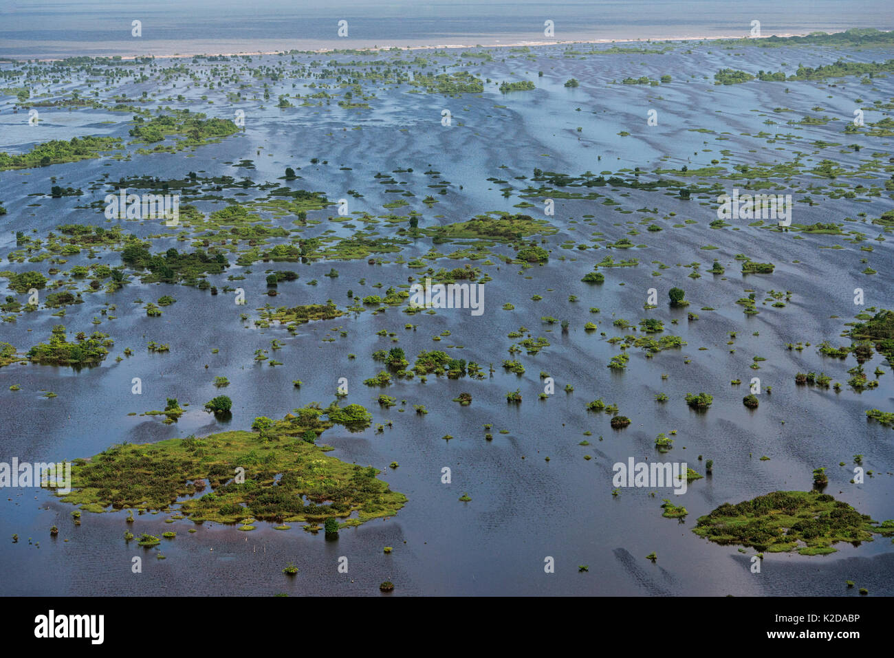 Feuchtgebiet Shell Beach North Guyana Südamerika Stockfoto