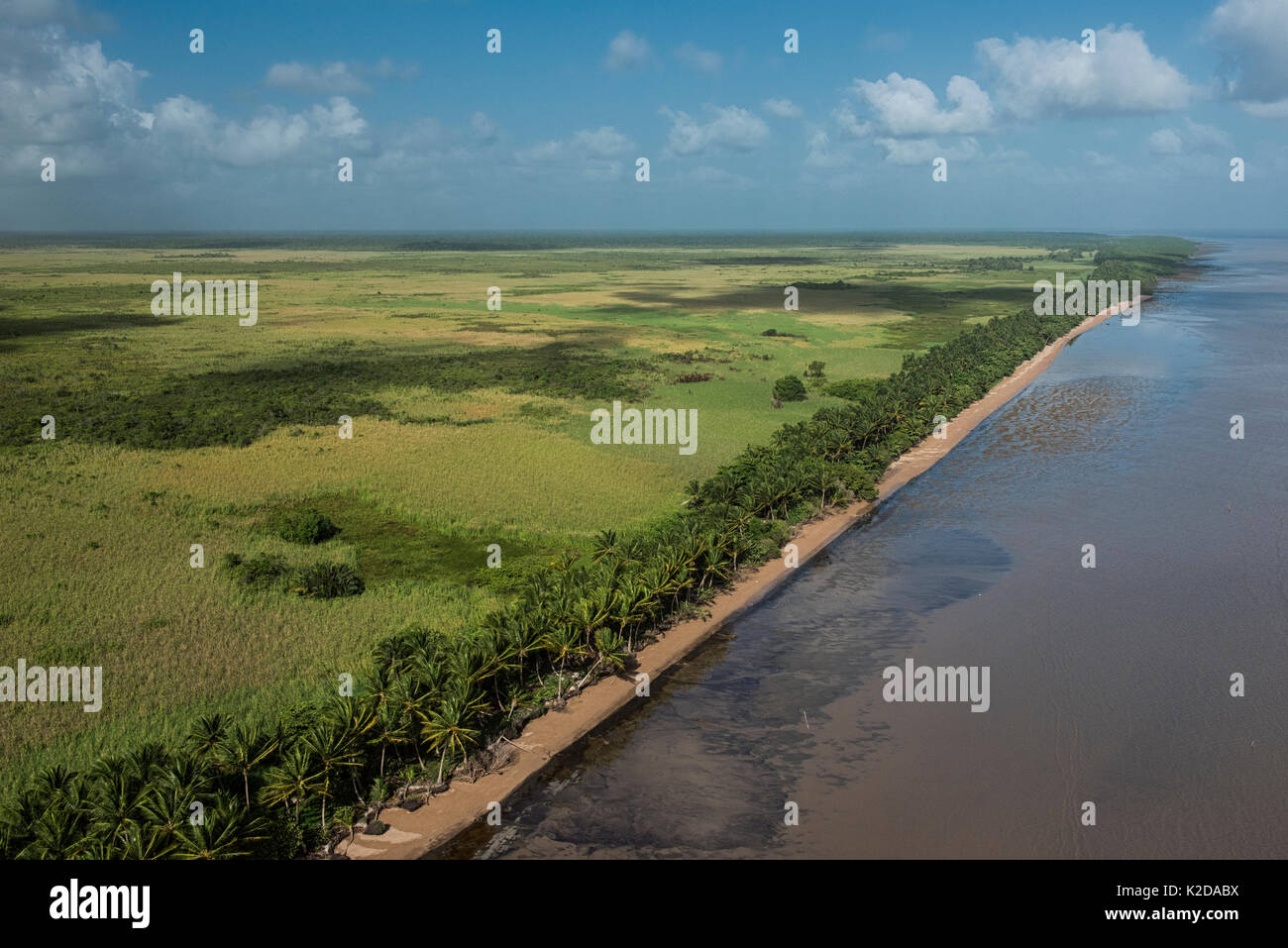 Luftaufnahme von Shell Beach, nördlich von Guyana, Südamerika Stockfoto