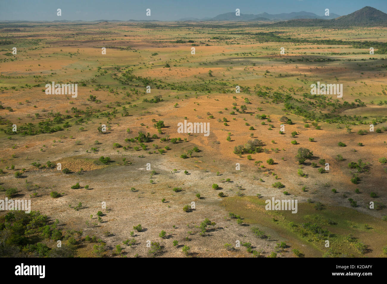 Luftaufnahme der Rupununi Savanne, Guyana, Südamerika Stockfoto Luftaufnahme der Rupununi Savanne, Guyana, Südamerika Stockfoto