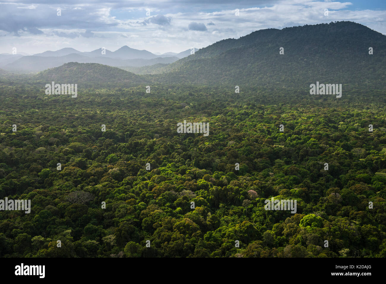 Kanaku Berge auf der Rurunini Savanne, Guyana, Südamerika Stockfoto Kanaku Berge auf der Rurunini Savanne, Guyana, Südamerika Stockfoto