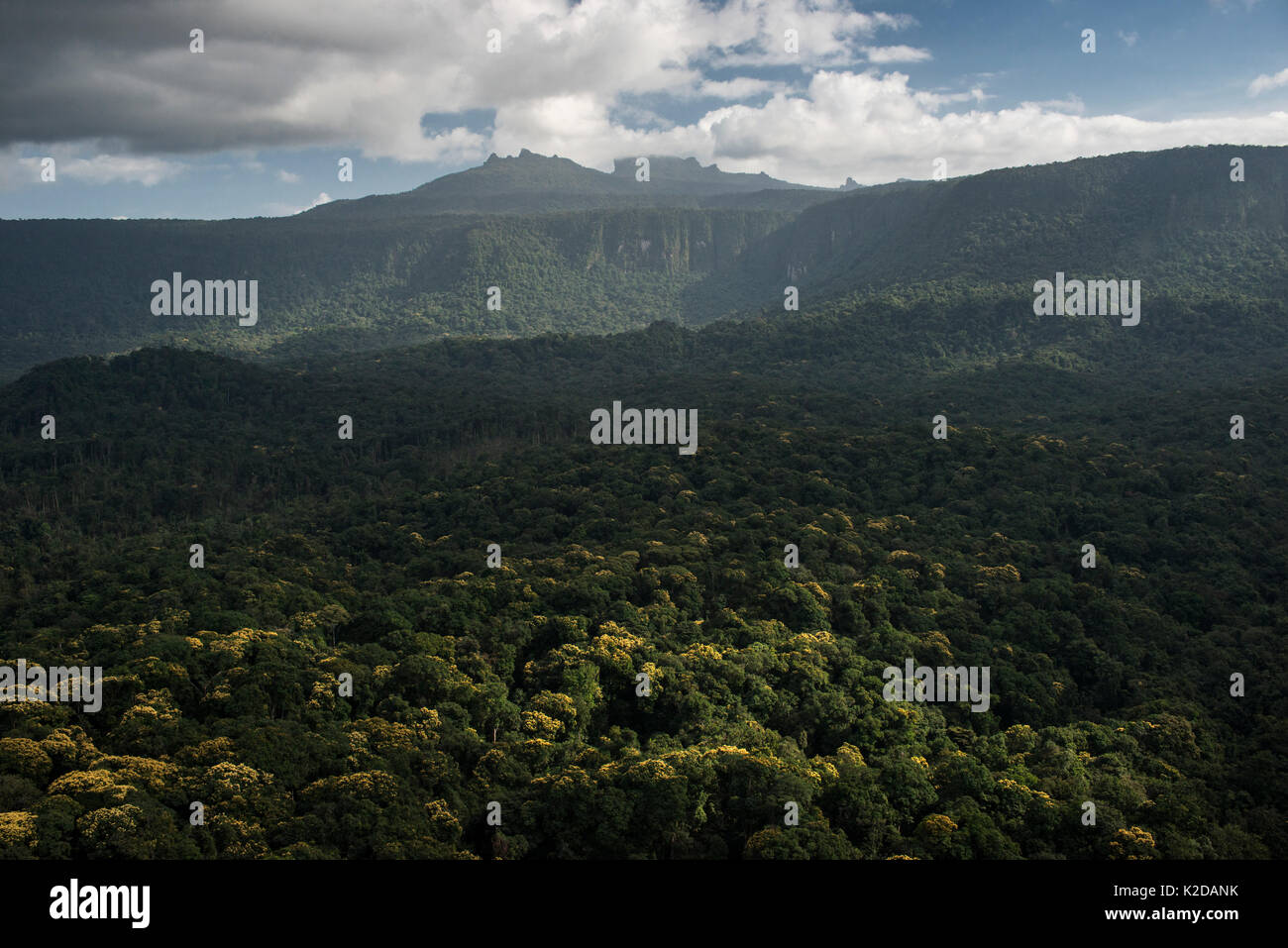 Mount Ayanganna unter den primären Regenwald, pakaraima Mountains, Guyana, Südamerika Stockfoto