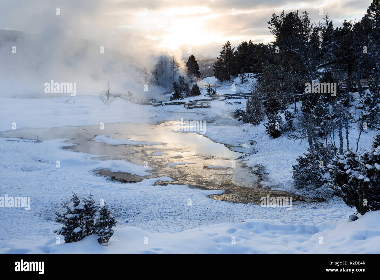 Sonnenaufgang am oberen Terrassen von Mammoth Hot Springs, Yellowstone National Park, Wyoming, USA. Januar 2016. Stockfoto