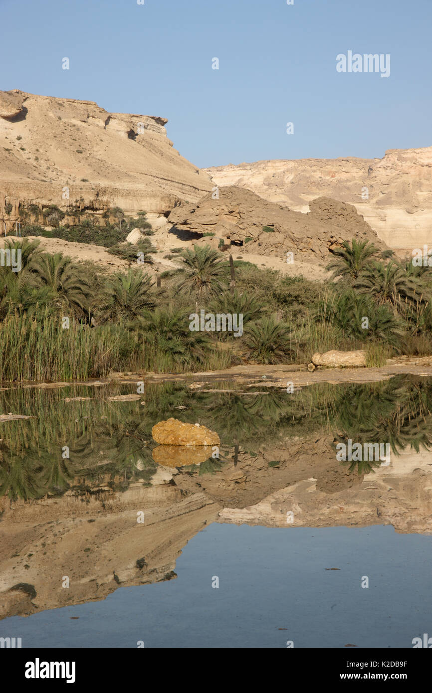 Wadi Shuwaymiyyah, trockene Wadi mit einem Pool, einem beliebten touristischen Ort, Oman, November 2012. Stockfoto