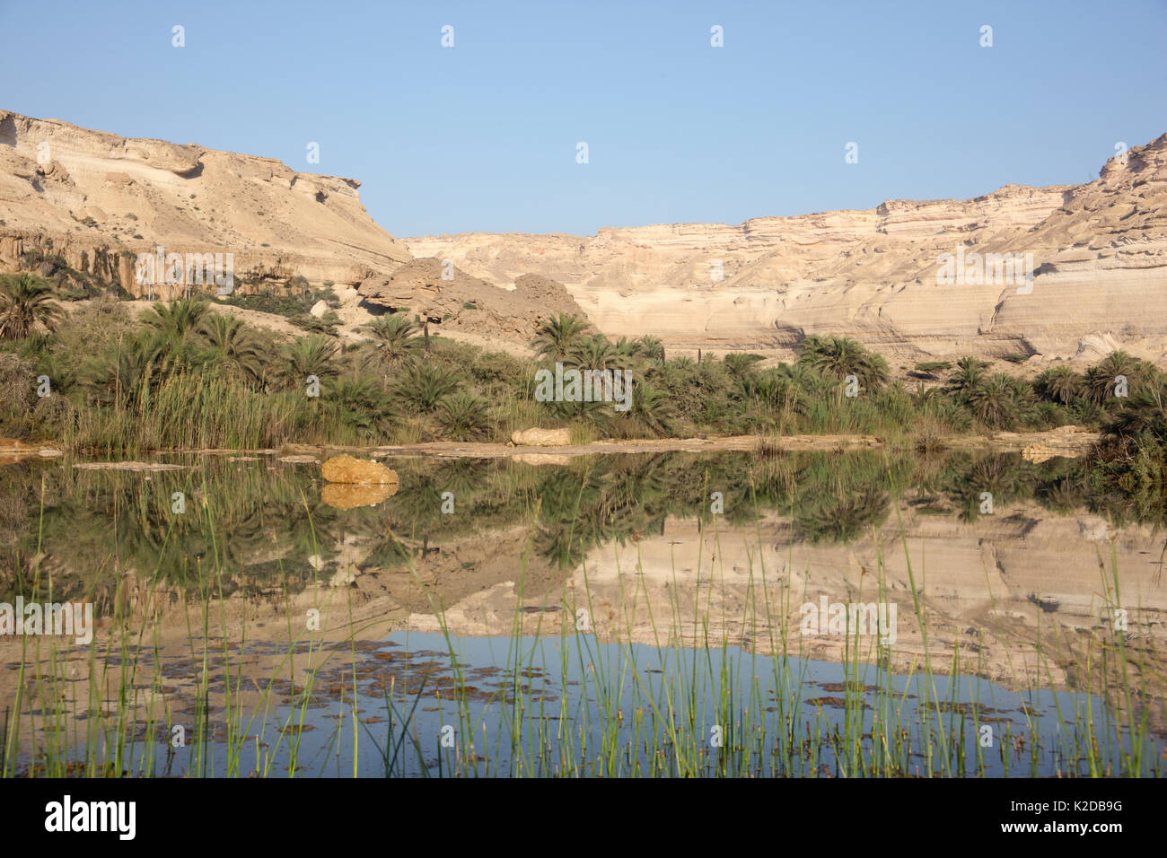 Wadi Shuwaymiyyah, trockene Wadi mit einem Pool, einem beliebten touristischen Ort, Oman, November 2012. Stockfoto