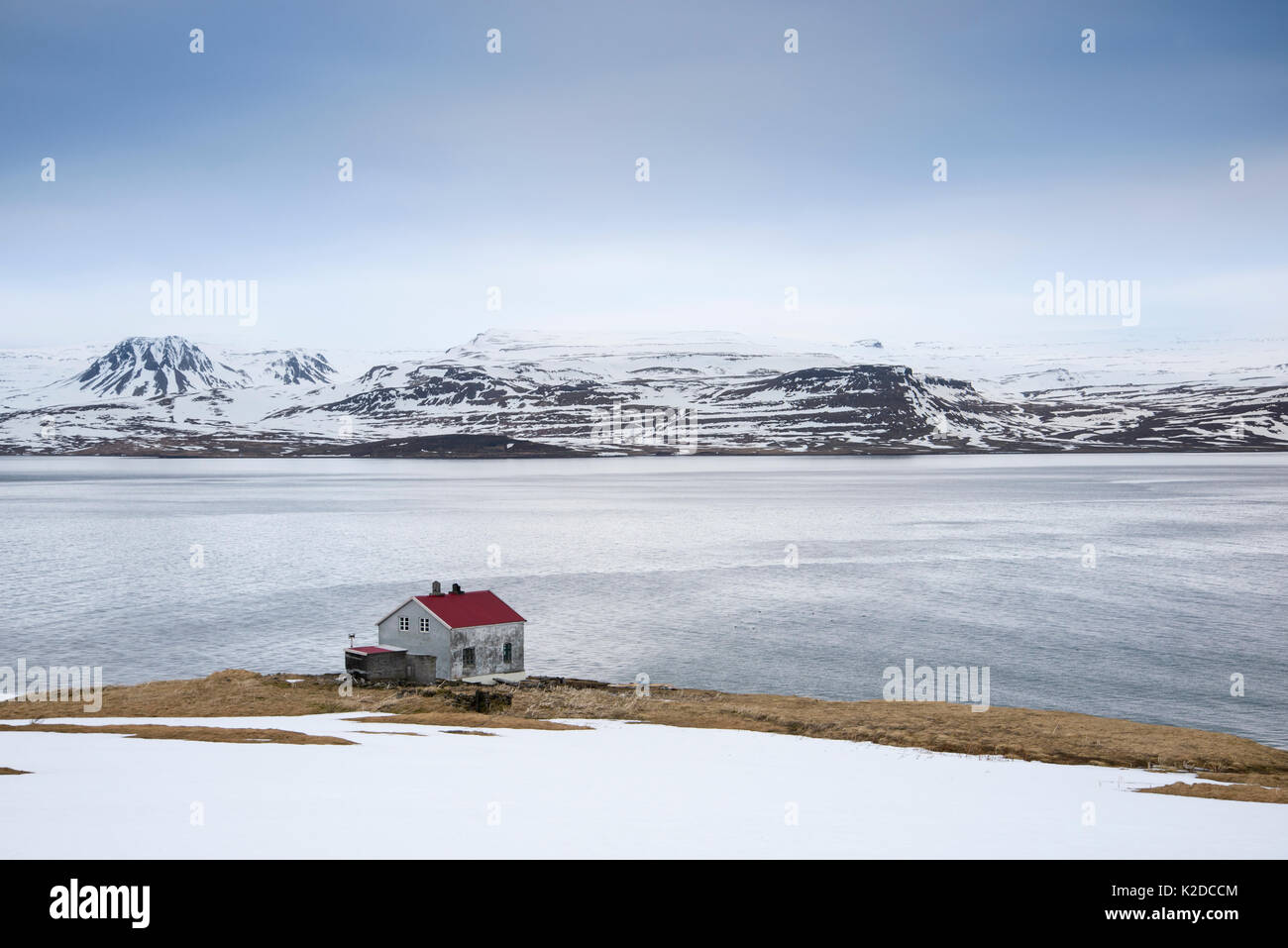 Hornstrandir Nature Reserve, Westfjorde, Island. April 2016. Stockfoto