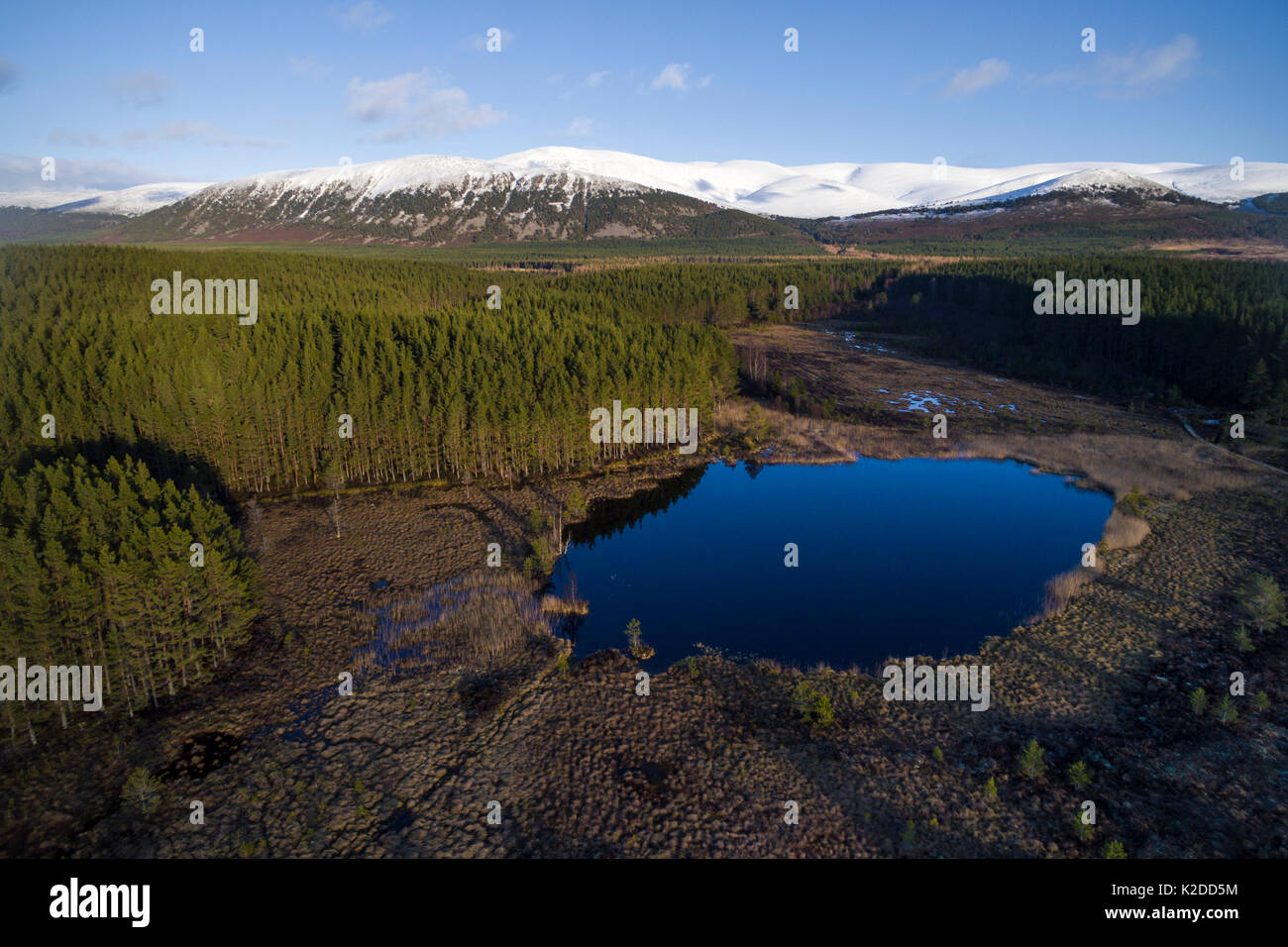 Lochan mit Pinienwald und die schneebedeckten Berge hinter, Cairngorms National Park, Schottland, UK, März 2016. Stockfoto