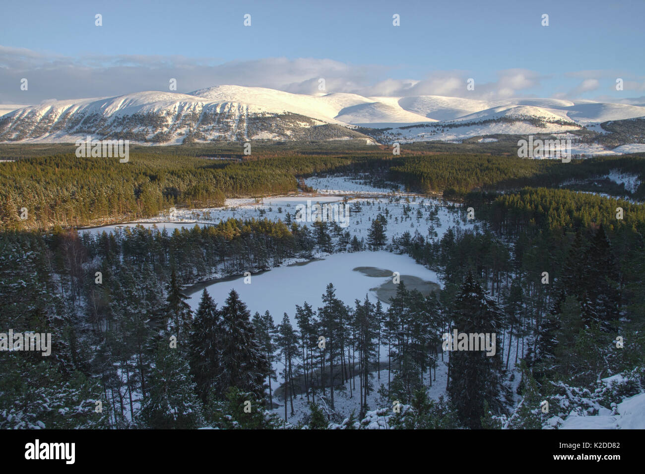 Blick über gefrorene Lochans mit schneebedeckten Bergen im Hintergrund, Cairngorms National Park, Schottland, UK, Januar 2015. Stockfoto