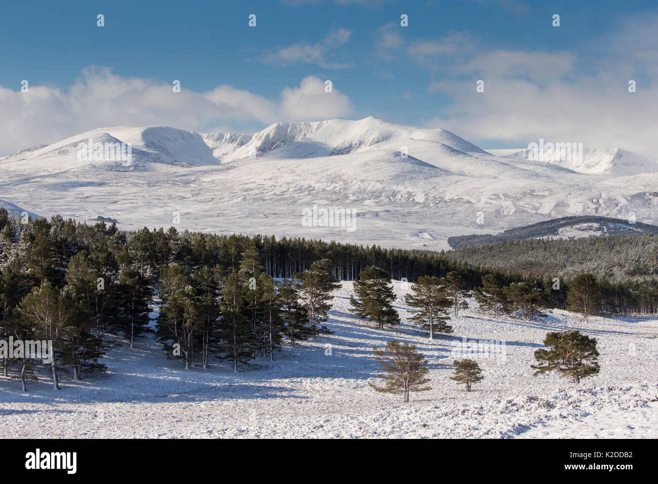 Lochnagar im Winter, Balmoral, Aberdeenshire, Schottland, April 2016. Stockfoto