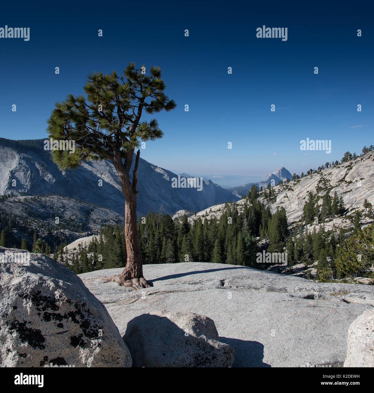 Olmsted Point im Yosemite Stockfoto