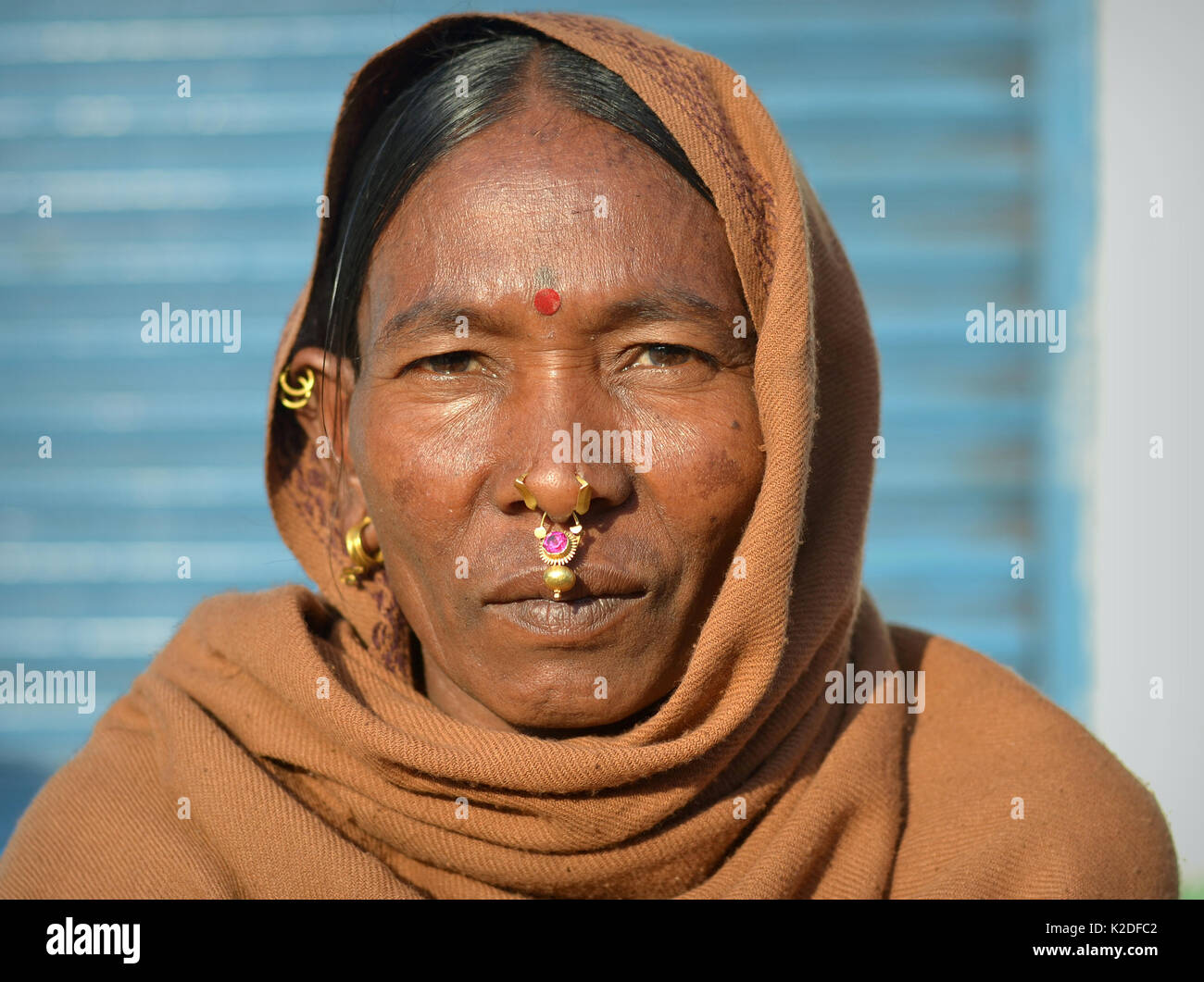 Ältere indische Adivasi-Frau (Stamm der Desia Kondh, Stamm der Kuvi Kondh) mit Gold-und-gemsteinernem Nasenschmuck und goldenen Ohrringen posiert für die Kamera. Stockfoto