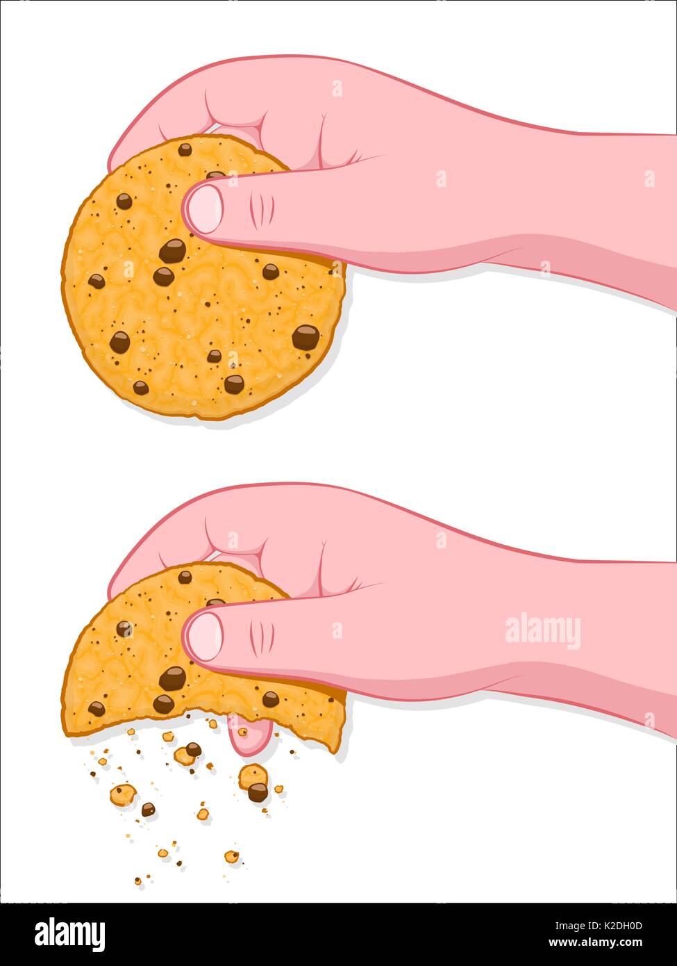 Die ist die Weise, die der Cookie Crumbles, menschliche Hand zerbröckeln Cookie auf Weiß - Abbildung Stock Vektor