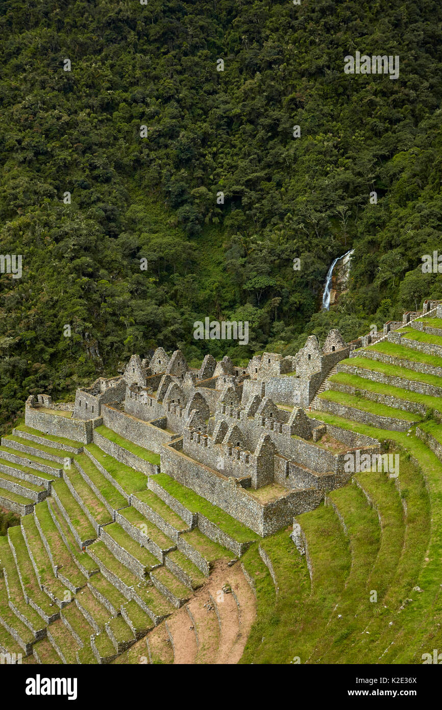 Historischen Ruinen von Inca Stadt und landwirtschaftlichen Terrassen an Winay Wayna, auf dem Inka Trail nach Machu Picchu, Peru, Südamerika Stockfoto