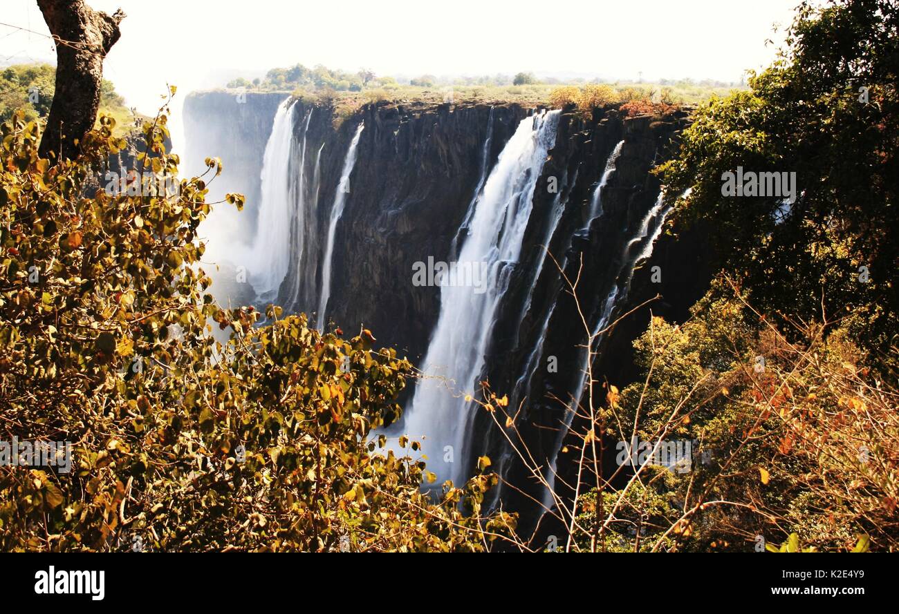 Blick über die SAMBISCHEN Teil des Victoria Falls. Stockfoto