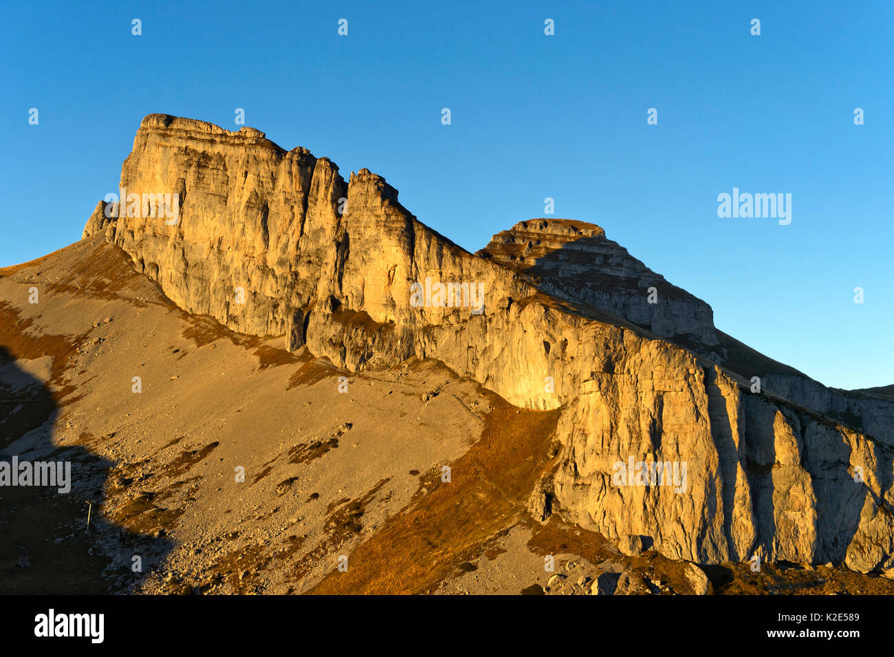 Der Gipfel der Tour d'Ai und Tour de Mayen im Abendlicht, Waadtländer Voralpen, Leysin, Waadt, Schweiz Stockfoto