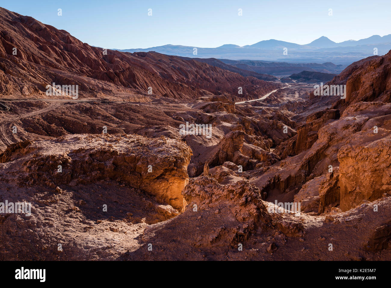 Felsformationen im Morgenlicht, Cordillera de la Sal Mountain Range, Teil der Cordillera Domeyko, San Pedro de Atacama Stockfoto