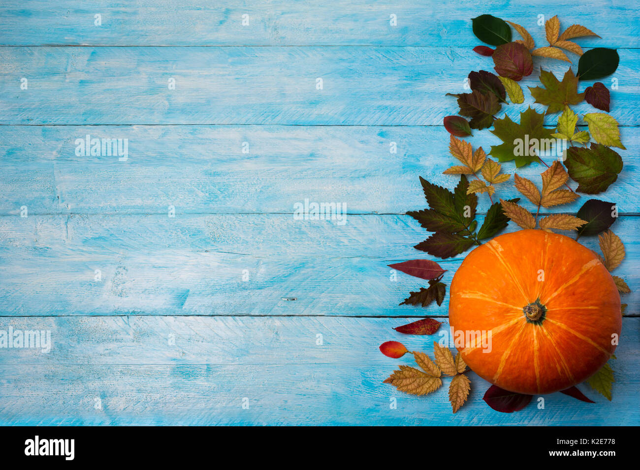 Happy Thanksgiving Gruß mit bunten Blätter im Herbst auf der rechten Seite blau Holztisch. Herbst Hintergrund Kopie Raum Stockfoto