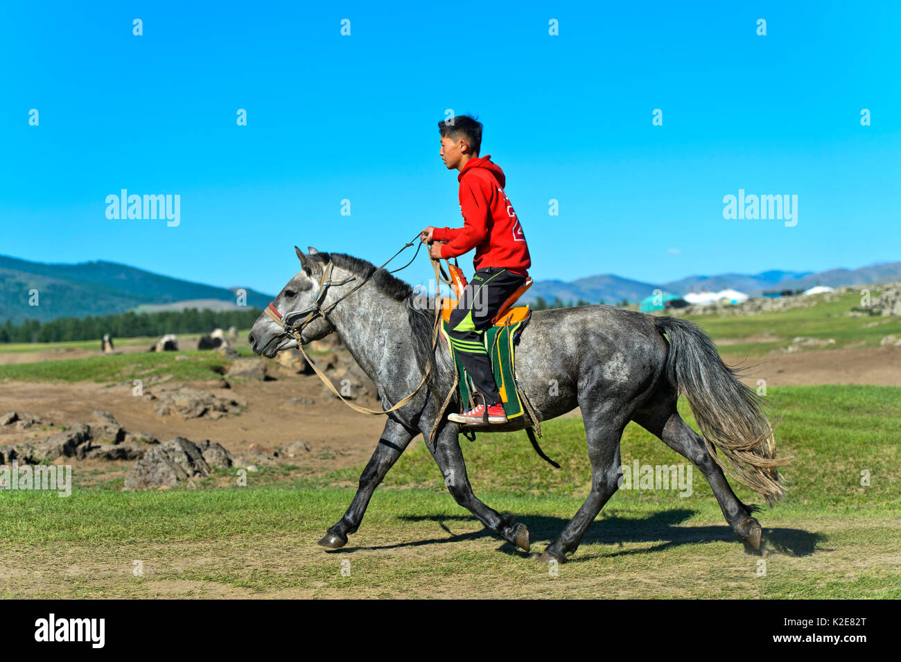 Junge reitet auf einem Pferd durch die Steppe, Orchon Tals, Khangai Nuruu National Park, Övörkhangai Aimag, Mongolei Stockfoto
