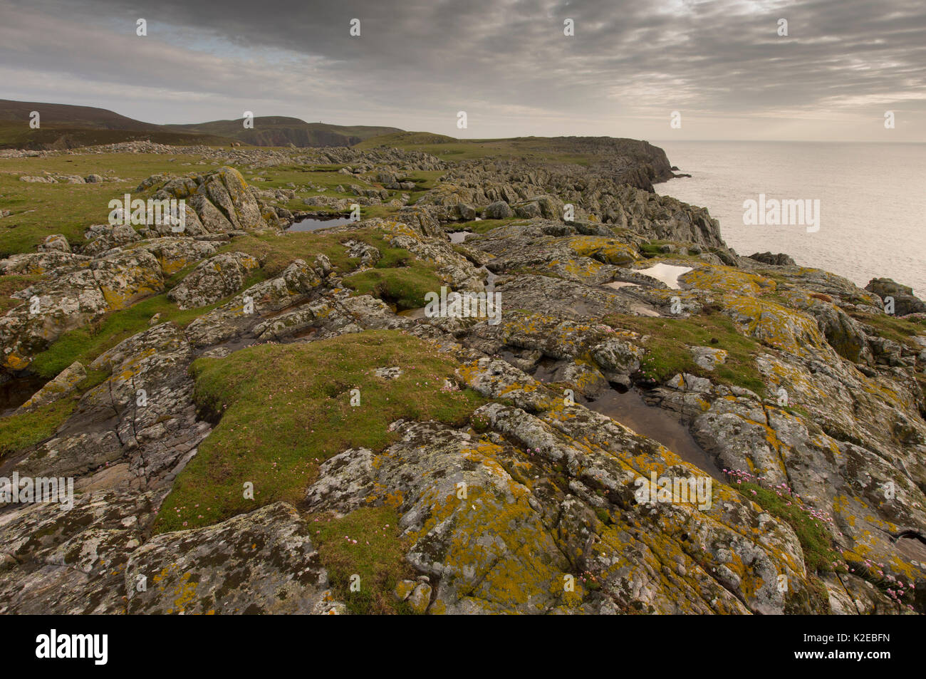 Küste bei Tagesanbruch, Fair Isle, Shetlandinseln, Schottland, Großbritannien, Juni 2013. Stockfoto