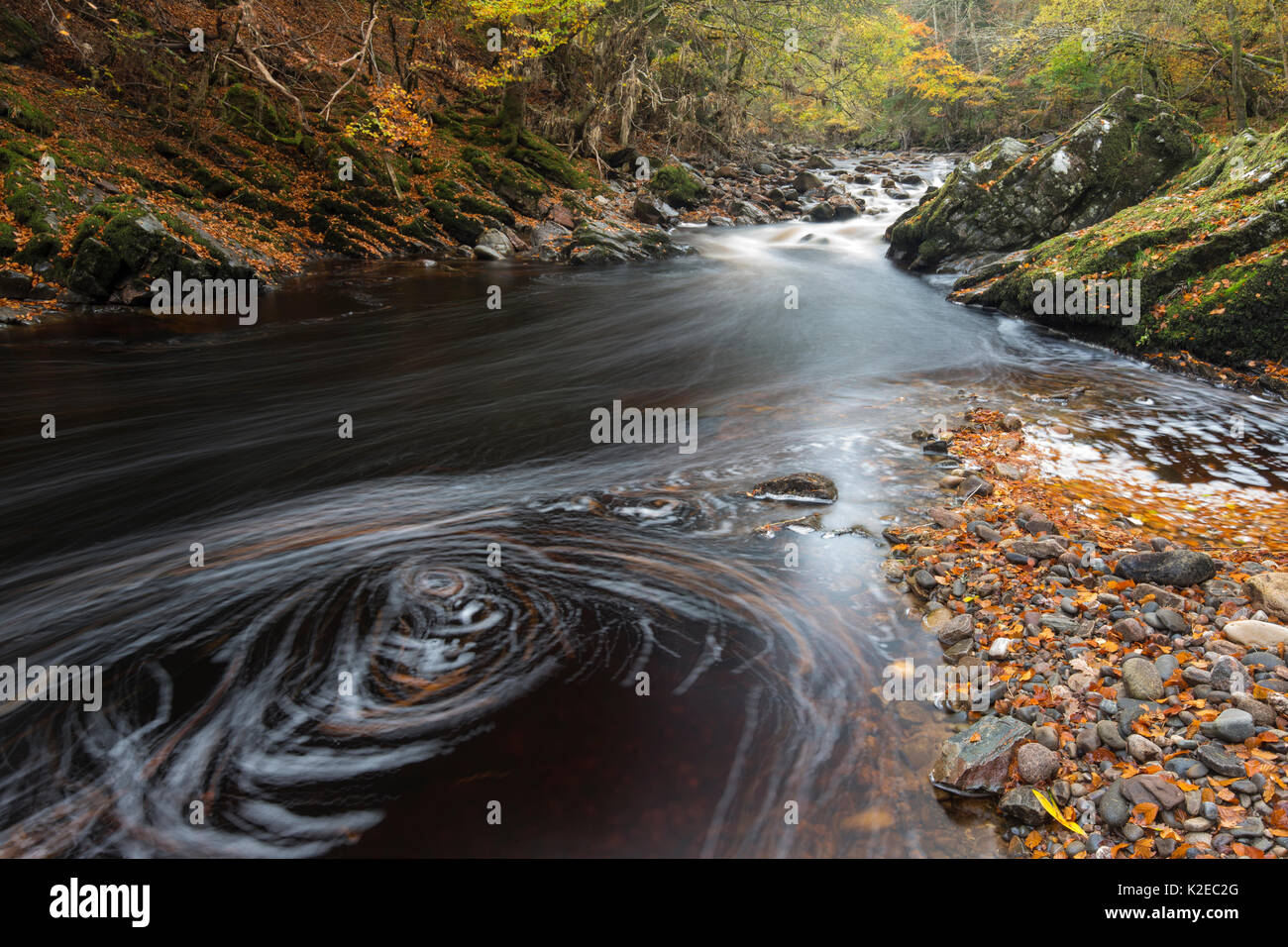 River Divie im Herbst, Moray, Schottland, Großbritannien, Oktober 2014. Stockfoto