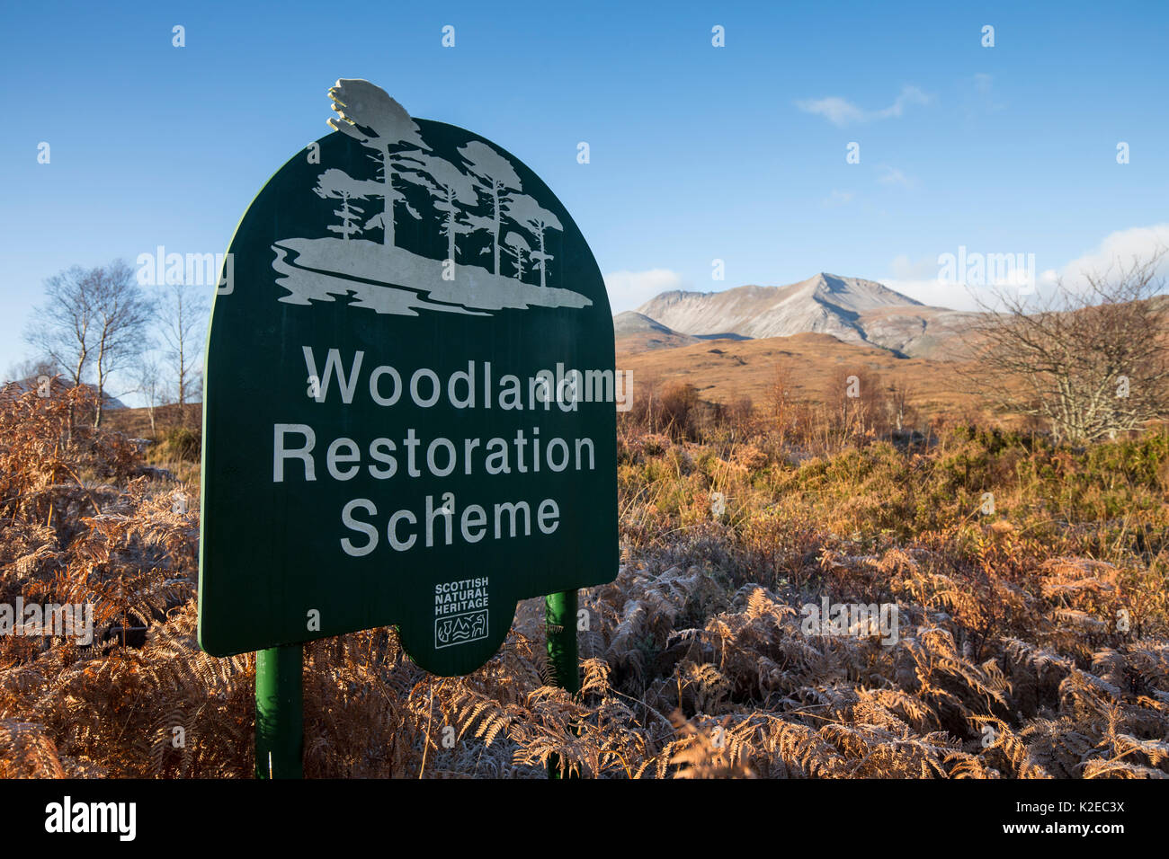Scottish Natural Heritage Woodland Restaurierung Regelung anmelden Beinn Eighe National Nature Reserve, Kinlochewe, Wester Ross, Schottland, November 2014. Stockfoto