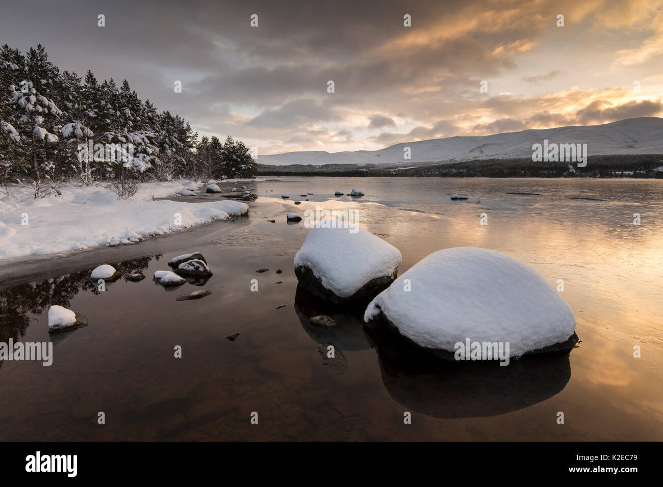 Loch Morlich mit winterlichen Blick auf die Cairngorm, Glenmore, Cairngorms National Park, Schottland, UK, Dezember 2014. Stockfoto