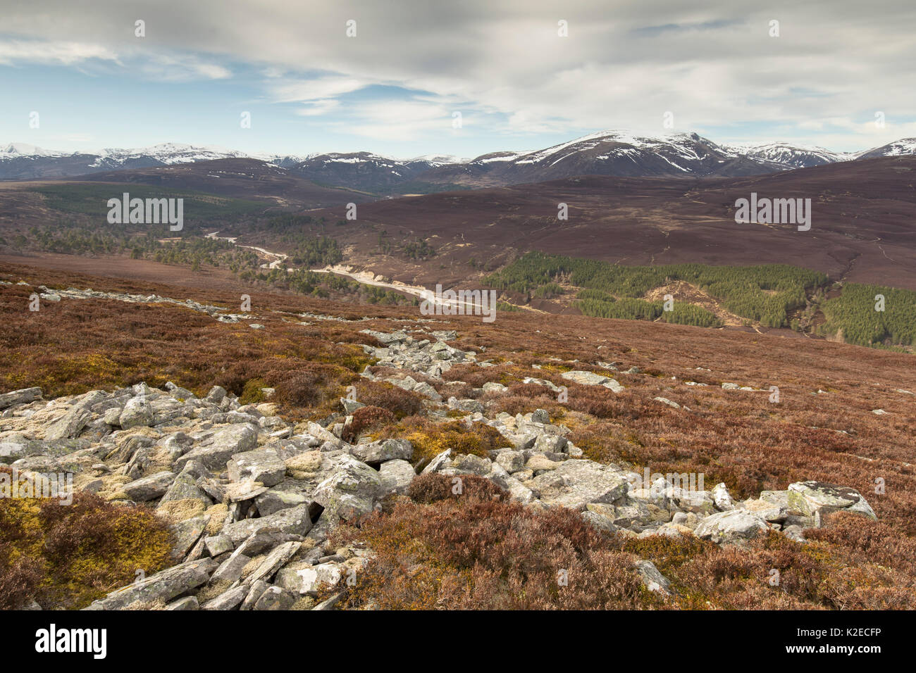 Blick nach Norden entlang Glen Quoich von creag Bhaig, Mar Lodge, Deeside, Cairngorms National Park, Schottland, UK, April 2016. Stockfoto