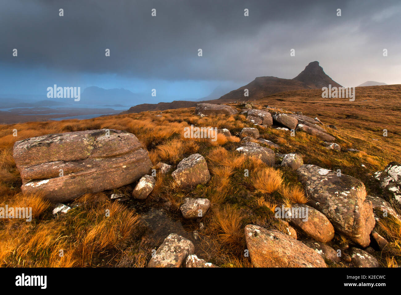 Moore, Schottland, UK, November 2013. Stockfoto