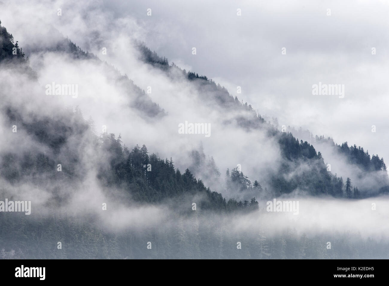Wald und Wolken über Küstengewässer, Southeast Alaska, USA, August Stockfoto