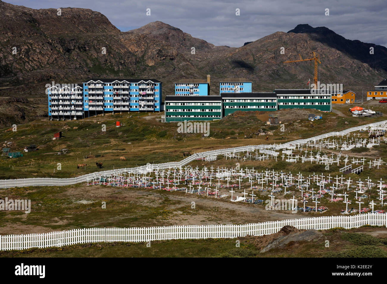 Stadt Sismiut, Grönland, Juli 2016. Stockfoto