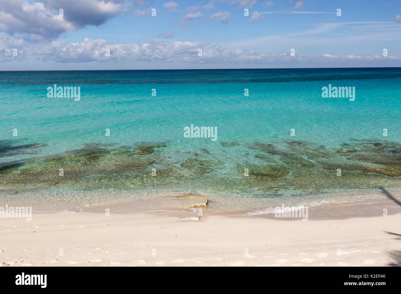 Ruhige See und Strand, South Bimini, Bahamas. Die Bahamas nationalen Shark Sanctuary, West Atlantik. Stockfoto