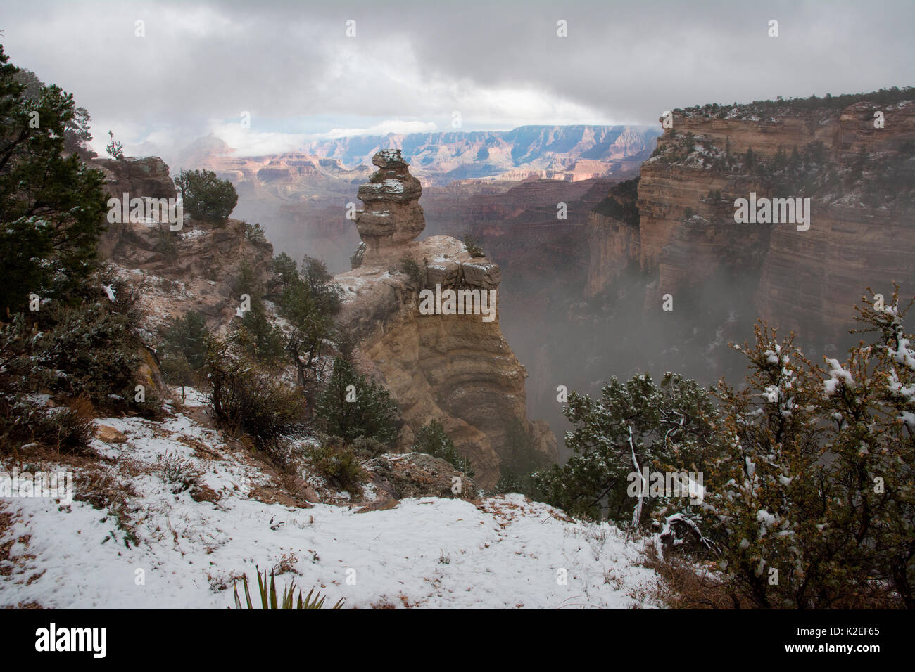 Schnee am Grand Canyon, Arizona, USA, November 2016. Stockfoto