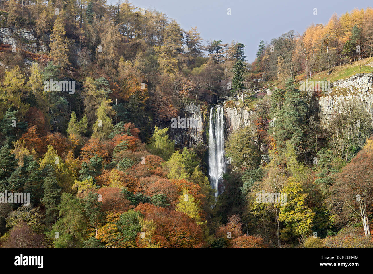 Pistyll Rhaeadr Wasserfall im Herbst - Höchste in Wales in der Nähe von Llanrhaeadr-ym-Mochnant, Powys, North Wales, UK, November 2016. Stockfoto